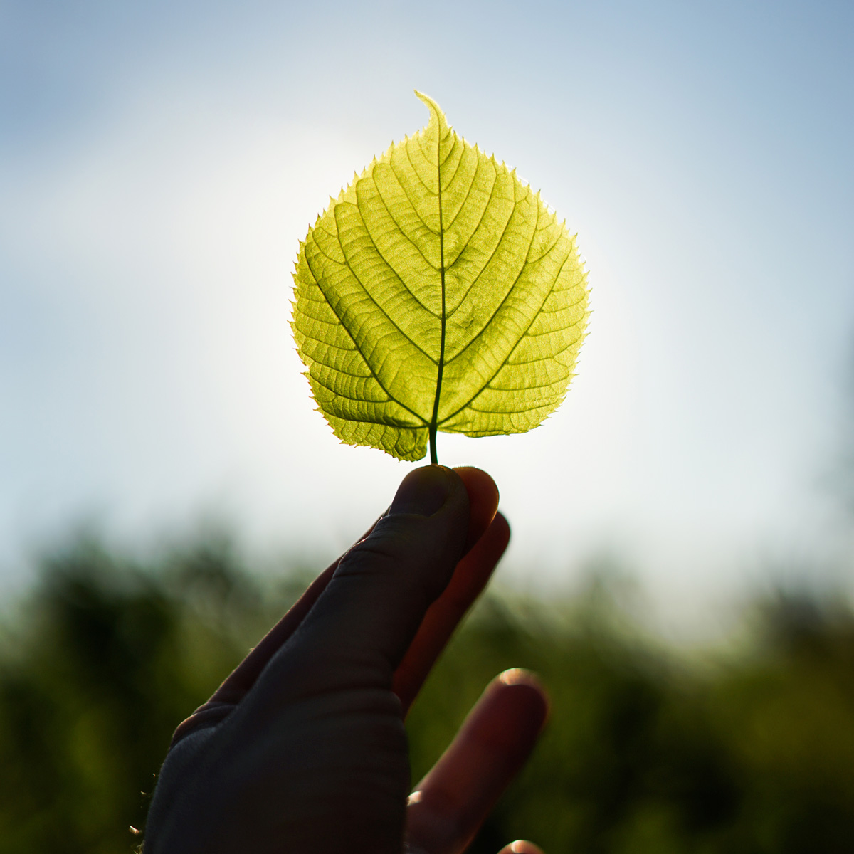Klimaschutz ist keine Frage der Theorie. Schon heute gibt es zahlreiche Möglichkeiten, durch einfache Maßnahmen nachhaltig das Klima zu schützen und eine lebenswerte Zukunft zu gestalten. Eine energetisch sinnvolle und zugleich angenehme Lösung bieten hier Flächenheiz- und Kühlsysteme vom Fliesenzubehörspezialisten Blanke Systems.|Foto: Blanke/PolaRocket